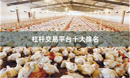 杠杆交易平台十大排名